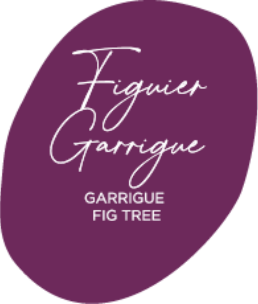 Figuier Garrigue
