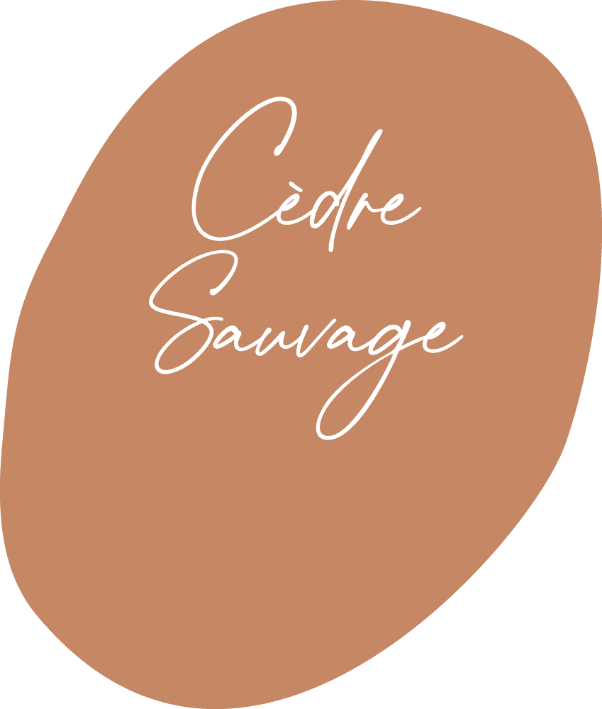 Cèdre sauvage