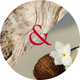 Santal & fleur de coco
